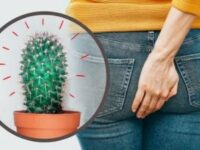 Cekricek.id - Selama periode menstruasi, rahim wanita akan melepaskan lapisan endometrium yang memicu pelepasan prostaglandin. Prostaglandin menyebabkan rasa sakit, peradangan, kontraksi dan relaksasi otot polos. Kontraksi rahim saat melepaskan lapisannya menyebabkan kram menstruasi , biasanya terjadi di daerah perut dan pantat.