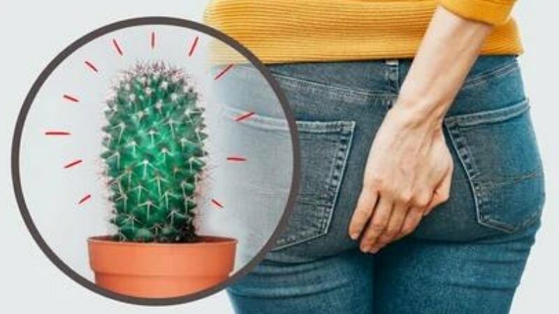 Cekricek.id - Selama periode menstruasi, rahim wanita akan melepaskan lapisan endometrium yang memicu pelepasan prostaglandin. Prostaglandin menyebabkan rasa sakit, peradangan, kontraksi dan relaksasi otot polos. Kontraksi rahim saat melepaskan lapisannya menyebabkan kram menstruasi , biasanya terjadi di daerah perut dan pantat.