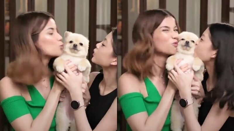 Cekricek.id – Anak dan istri Deddy Cobuzier, Sabrina Chairunnisa dan Nada Tarina Putri, kompak saling mencium pipi anjing kecil peliharaan mereka dalam video terbarunya. Mungkin banyak yang bertanya-tanya karena di dalam Islam, anjing adalah hewan yang haram. Lalu, bagaimana hukumnya mencium anjing menurut Islam?