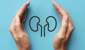 Ginjal menjadi salah satu organ tubuh yang sangat penting. Namun, pernahkah kamu memikirkan bagaimana cara menjaga kesehatan ginjal?