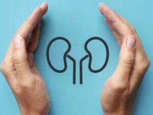 Ginjal menjadi salah satu organ tubuh yang sangat penting. Namun, pernahkah kamu memikirkan bagaimana cara menjaga kesehatan ginjal?