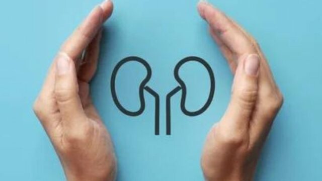 Ginjal menjadi salah satu organ tubuh yang sangat penting. Namun, pernahkah kamu memikirkan bagaimana cara menjaga kesehatan ginjal?