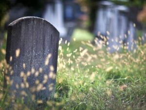 Cekricek.id - Bagaimana hukumnya, apakah harus menguburkan sebuah janin yang keguguran layaknya penguburan umat islam