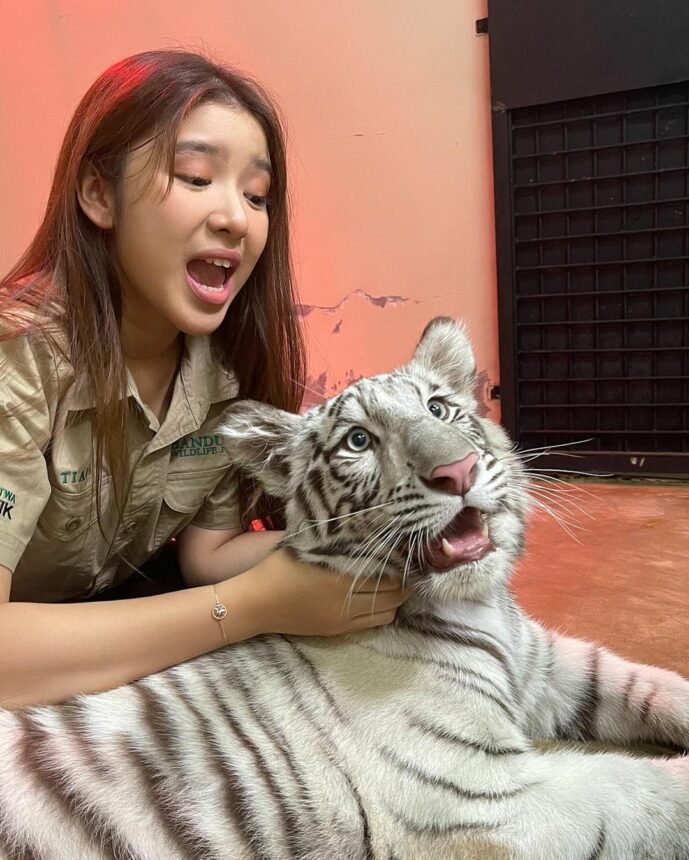 Tiara Andini Nekat Foto dengan Harimau Putih, Nggak Takut Diterkam? 3 Lampiran Gambar