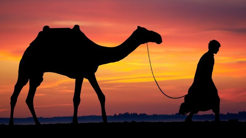 Cekricek.id - Ada begitu banyak cerita yang simpang siur mengenai imam Syafi'i. Salah satunya mengenai ia yang dikandung selama 4 tahun.