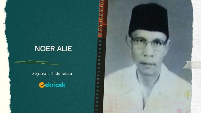 Noer Alie adalah tokoh yang berperan dalam membentuk organisasi Persatuan Pelajar Betawi. Pasca proklamasi kemerdekaan Indonesia, Noer Ali terpilih menjadi Ketua Komite Nasional Indonesia Daerah Kecamatan Babelan, Bekasi.