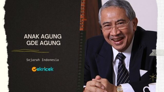 Anak Agung Gde Agung pernah menjabat Menteri Urusan Sosial pada masa Presiden Abdurrahman Wahid dan menjadi Anggota MPR. Anak Agung Gde Agung Putra sulung dari Dr.Ida Anak Agung Gde Agung, seorang Menteri Dalam Negeri dan Menteri Luar Negeri pada masa pemerintahan Presiden pertama RI Ir.Sukarno.