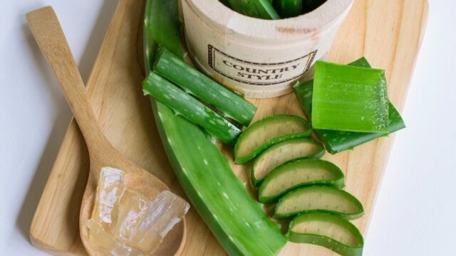 Cekricek.id - Ternyata tidak hanya daging buahnya, kulit lidah buaya juga memiliki sejumlah manfaat kesehatan. Uniknya, kulit lidah buaya ini juga aman untuk kita konsumsi karena mengandung sejumlah nutrisi untuk tubuh. Rasanya pun juga tidak terlalu aneh saat dikunya, mungkin mirip seperti saat mengunyah kulit mentimun.