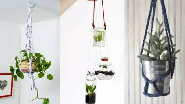 Cekricek.id – Tanaman gantung adalah salah satu metode yang bisa digunakan untuk menata dan mempercantik suasana rumah, baik itu di dalam ataupun di luar ruangan. ada banyak ide menarik dan kreatif yang bisa dilakukan untuk menata tanaman gantung supaya terlihat semaki estetis.