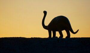 Cekricek.id - Hantaman asteroid besar yang membunuh semuah spesies dinosaurus di zaman itu nyatanya juga menyebabkan gempa bumi maha dahsyat yang berlangsung selama berbulan-bulan. Guncangan luar biasa itu dari tabrakan itu juga meninggalkan bekas di bebatuan di sekitar Teluk Meksiko.