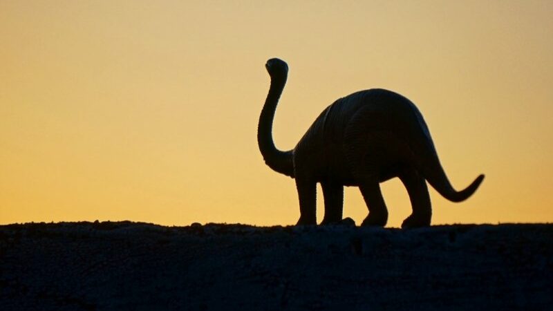 Cekricek.id - Hantaman asteroid besar yang membunuh semuah spesies dinosaurus di zaman itu nyatanya juga menyebabkan gempa bumi maha dahsyat yang berlangsung selama berbulan-bulan. Guncangan luar biasa itu dari tabrakan itu juga meninggalkan bekas di bebatuan di sekitar Teluk Meksiko.