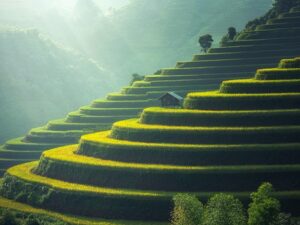 Kualitas Tanah di Semua Lahan Pertanian di Dunia Sudah Memburuk