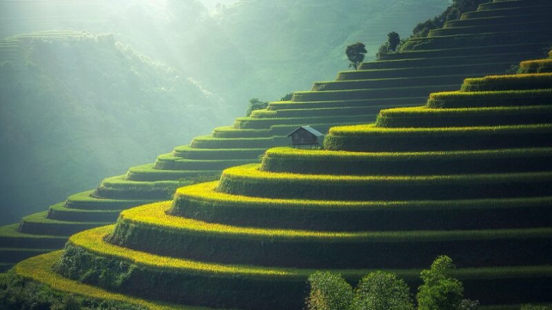 Kualitas Tanah di Semua Lahan Pertanian di Dunia Sudah Memburuk