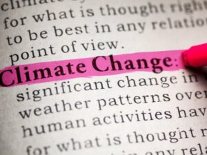 Istilah-istilah dalam Perubahan Iklim - Istilah-istilah dalam lingkungan hidup