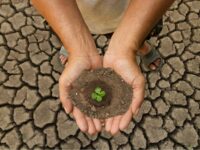 Istilah-istilah dalam Perubahan Iklim - Istilah-istilah dalam lingkungan hidup