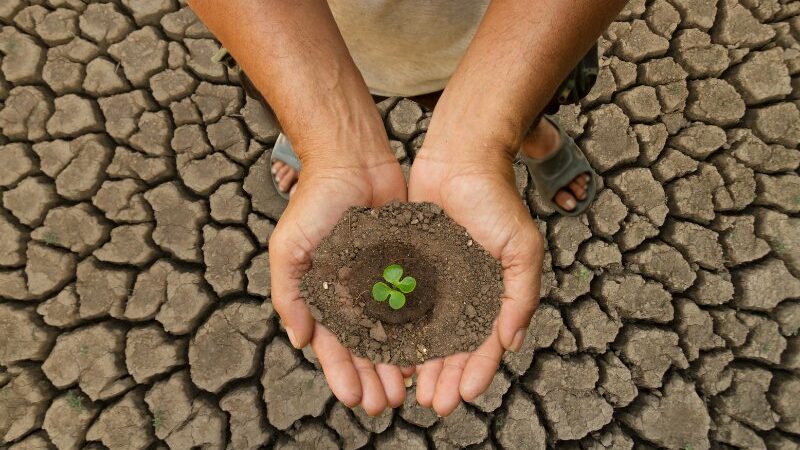 Istilah-istilah dalam Perubahan Iklim - Istilah-istilah dalam lingkungan hidup
