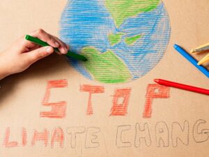 Istilah-istilah dalam Perubahan Iklim - Istilah-istilah dalam lingkungan hidup