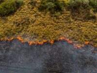 Istilah-istilah dalam Perubahan Iklim - Istilah-istilah dalam lingkungan hidup
