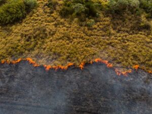 Istilah-istilah dalam Perubahan Iklim - Istilah-istilah dalam lingkungan hidup