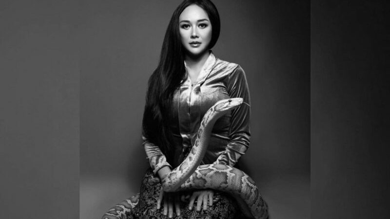 Cekricek.id - Aura Kasih berhasil membuat sejumlah penggemarnya merasa iri pada pemotretan terbaru yang dibagikan. Hal itu karena aktris cantik dan seksi itu berpose dengan ular besar yang melilit pinggangnya.