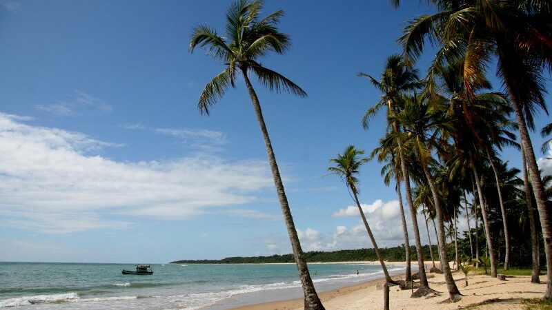 Istilah-istilah dalam Kemaritiman dan Investasi