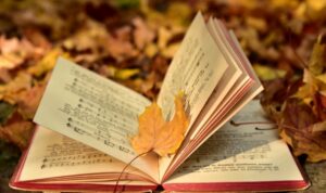 Istilah-istilah umum, istilah-istilah dalam marxisme.