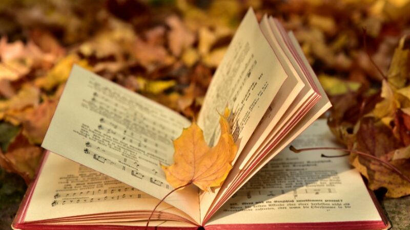 Istilah-istilah umum, istilah-istilah dalam marxisme.