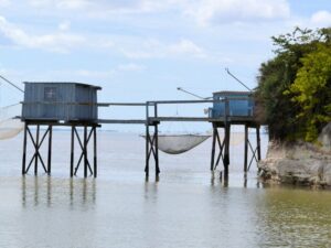 Istilah-istilah dalam Kemaritiman dan Investasi