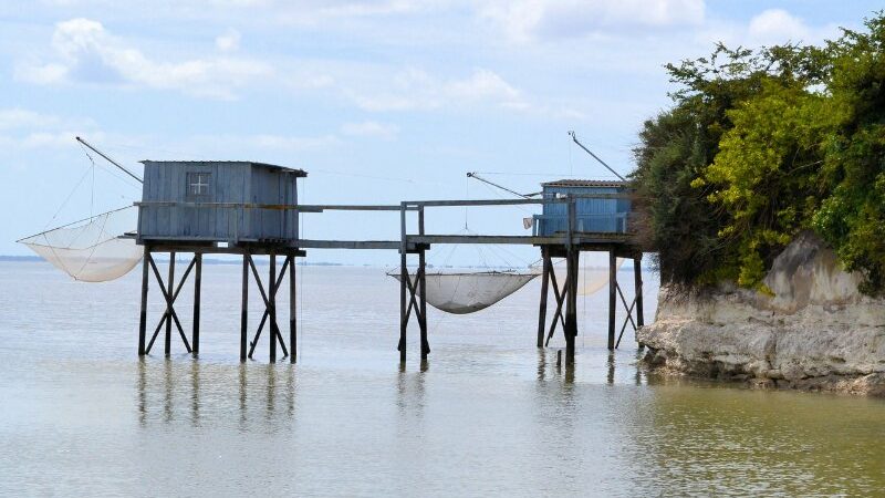 Istilah-istilah dalam Kemaritiman dan Investasi