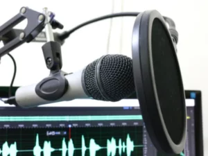 Cekricek.id - Pasal 241 KUHP (Kitab Undang-undang Hukum Pidana)