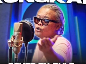 Komedian Sule mengcover lagu yang di salah satu liriknya berbunyi terlalu goblok menciuntaimu, lagunya itu diduga menyindir Nathalie Holscher.