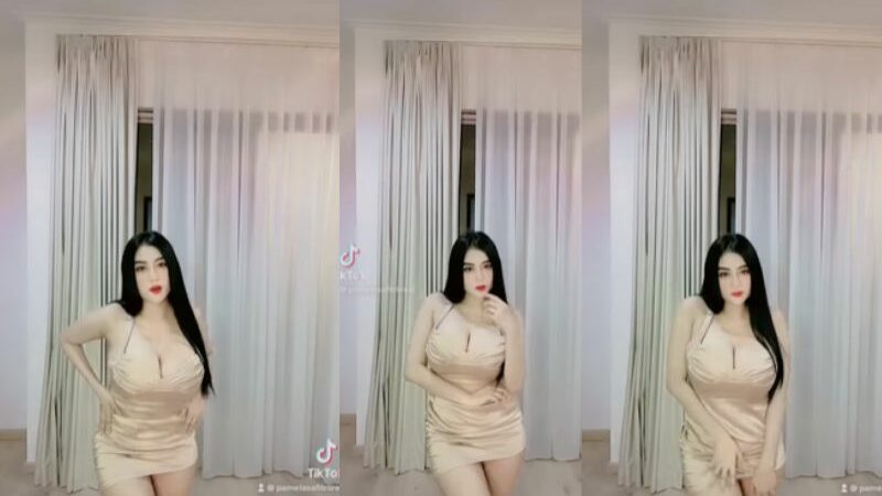 Cekricek.id - Bentuk tubuh dari Pamela Safitri dinilai semakin kurusan. Apalagi ketika dunia terlihat joget dengan hanya mengenakan dress satin