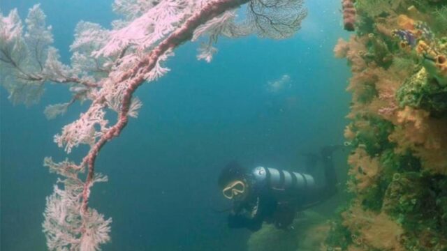 Cekricek.id – Sebagai desa wisata, Kampung Ugar yang terletak di Kabupaten Fakfak, Provinsi Papua Barat dapat menjadi salah satu tujuan yang menarik untuk berlibur bersama keluarga, sahabat atau orang terkasih. Di sana terdapat sejumlah fasilitas yang akan memanjakan para wisatawan yang berkunjung.