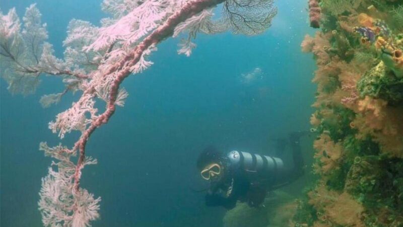 Cekricek.id – Sebagai desa wisata, Kampung Ugar yang terletak di Kabupaten Fakfak, Provinsi Papua Barat dapat menjadi salah satu tujuan yang menarik untuk berlibur bersama keluarga, sahabat atau orang terkasih. Di sana terdapat sejumlah fasilitas yang akan memanjakan para wisatawan yang berkunjung.