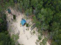 Cekricek.id - Desa wisata Kampung Tua Bakau Serip terletak di Batam dengan lokasi yang bersisian dengan Teluk Mata Ikan yang juga berdekatan dengan makam Nong Isa. Banyak yang menyebut bahwa kampung yang masih asri ini merupakan salah satu yang tertua di kota tersebut.