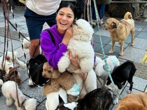 Cekricek.id - Wajah cantik dari Naysila Mirdad dianggap netizen tidak kalah lebih menggemaskan. Terlebih dikerubuti oleh banyaknya anjing lucu