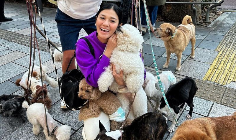 Cekricek.id - Wajah cantik dari Naysila Mirdad dianggap netizen tidak kalah lebih menggemaskan. Terlebih dikerubuti oleh banyaknya anjing lucu