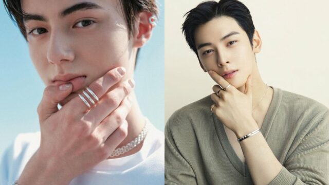 Cekricek.id – Alex Sho, model asal Jepang ini sempat dikira sebagai adik Cha Eun Woo karena wajah keduanya yang terlihat mirip. Dugaan tersebut bermula karena aktor tampan itu juga dikabarkan memiliki seorang adik dengan usia terpaut dua tahun darinya.