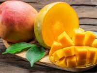 Cekricek.id, Kuliner – Mangga bisa dijadikan salah satu sajian menyegarkan untuk berbuka puasa di bulan Ramadhan. Selain sehat, buah ini juga bisa diolah lebih bervariasi seperti membuatnya menjadi makanan ataupun minuman. Penyajiannya juga sederhana dan dengan bahan-bahan yang mudah didapatkan.