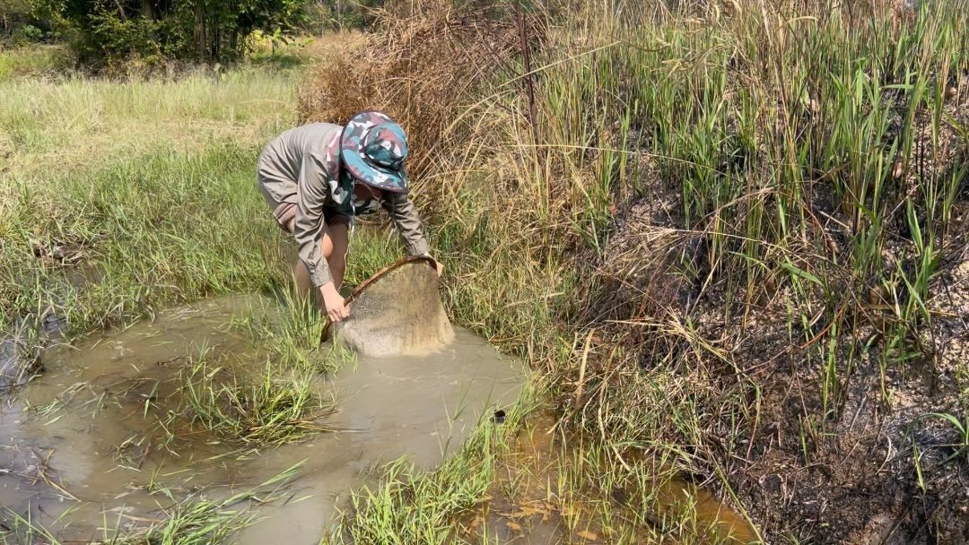 DJ Katty Butterfly ke Sawah: Kangen Masa Lalu