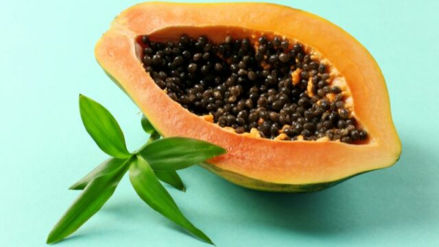 Cekricek.id, Kesehatan - Siapa yang menyangka jika ternyata biji pepaya memiliki banyak manfaat. Misalnya saja baik untuk ginjal