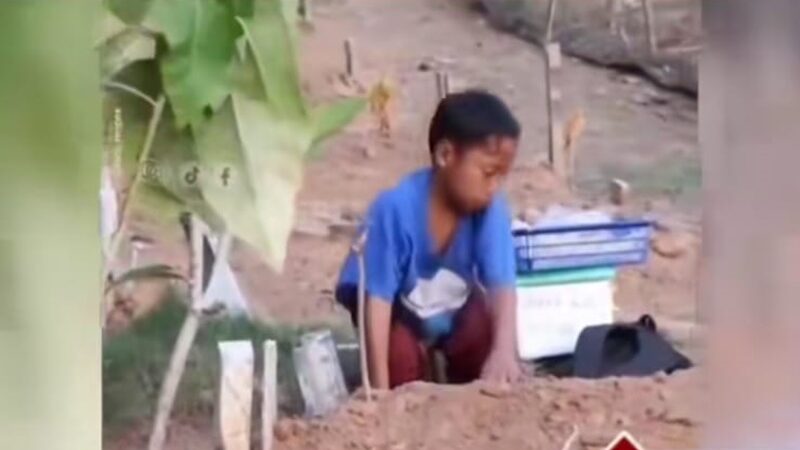 Cekricek.id, Berita Viral - Momen Haru Bocah SD Nangis di Kuburan Ayah