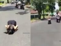 Cekricek.id, Berita Viral – Seorang wanita yang hanya dibalut kemben dari kain hitam sukses mencuri perhatian karena aksi nekatnya. Tanpa menghiraukan orang lain, dia memeragakan gerakan salat di tengah jalanan aspal sambil ditemani kendaraan yang berlalu-lalang.