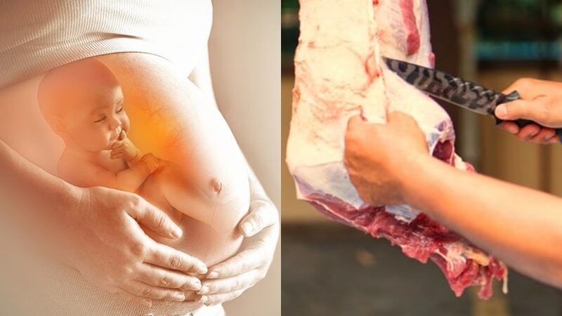 Suami tidak boleh membunuh hewan saat istri hamil. Dalam pandangan Islam ternyata keyakinan tersebut tidaklah benar, begini penjelasannya.