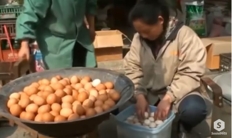 Cekricek.id, Kuliner -  4 Makanan Aneh dari Berbagai Dunia, Telur Perjaka Hingga Telur 1000 Tahun, Yakin Berani Cicipi?
