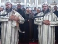 Cekricek.id, Berita Viral – Seekor kucing belang tiga berhasil menggemparkan jagat dunia maya setelah video aksinya melompat ke dekapan imam salat tarawih menjadi viral. Hewan berkaki empat dengan bulu dominan putih ditambah bercak oren dan abu-abu ini justru mendapat sambutan hangat dari sang imam.