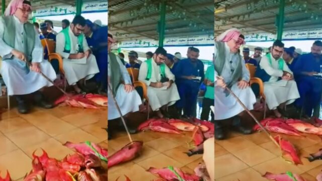 Cekricek.id , Berita Viral– Ikan Syarifi adalah ikan asal Arab dengan harga satu ekornya yang fantastis. Hewan air yang satu ini juga sering disajikan pada perayaan hari-hari istimewa, namun ada satu fakta lainnya lagi yang mengejutkan dari jenis ikan yang satu ini. Untuk mendapatkannya, orang-orang harus membeli dengan cara ikut pelelangan.