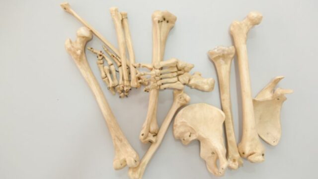 Cekricek.id, Portal Islam - Ada kisah menarik mengenai Nabi Hizkiel yang diutus Allah kepada kaum yang sudah meninggal dunia.