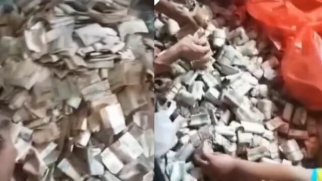 Cekricek.id, Berita Viral - Lagi viral seorang kakek di Serang yang punya uang lama sebanyak per karung-karung, sampai dibantu tetangga