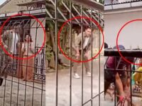 Cekricek.id, Berita Seleb dan Berita Artis – Ariel Noah adalah vokalis band kenamaan yang namanya seakan tak pernah redup. Meski sempat di penjara karena masa lalunya yang kelam, pria kelahiran 16 September 1981 ini berhasil kembali dan menaikkan pamornya kembali.